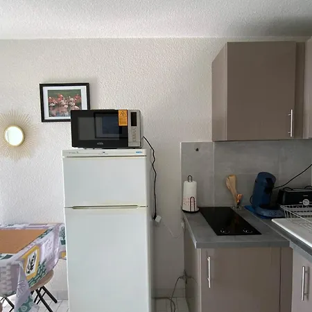 Le Cap D'or- Beachfront With Air Conditioning! Tatil Evi Palavas-les-Flots